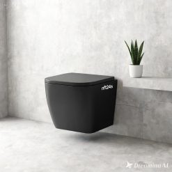 Tolet Bidet Combo Toilet Seat Elongated